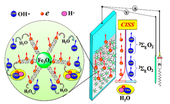 Spin Controlled Water Electrolysis for Efficient Production of Hydrogen