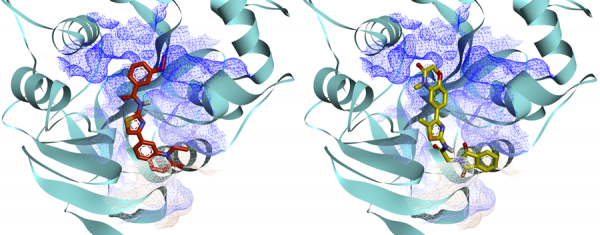 SARS-CoV-2 NSP16 Targeted Library