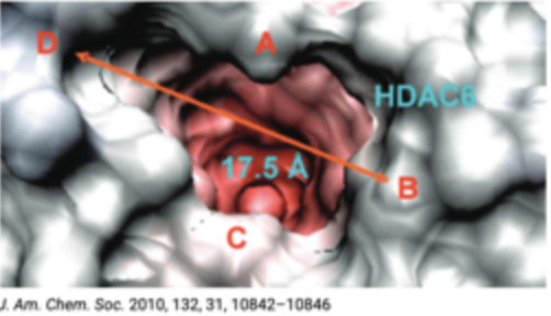 Breakthrough HDAC6 Inhibitors for Diverse Disease Treatment