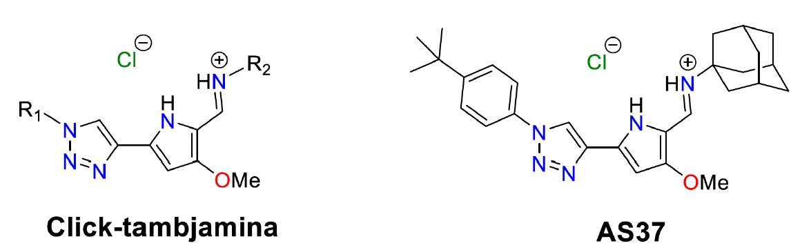 Highly useful lactate carrier molecules in cancer treatment