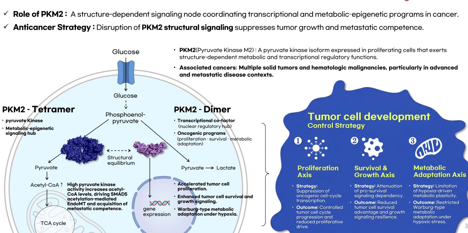 A First-in-Class vIRF3-Derived Peptide (VDP) Therapy Targeting the PKM2 Metabolic Axis for Tumor Regression and Metastasis Inhibit[…]