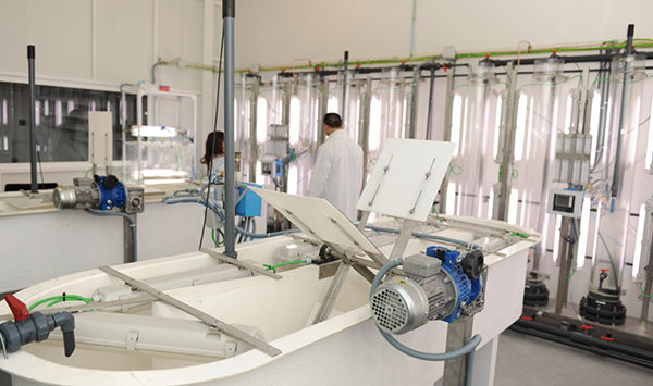 Microalgae cultivation in a versatile pilot plant