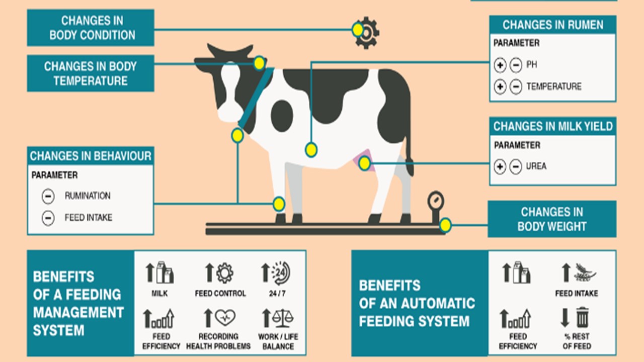 Seeking cattle livestock management system (integrated with existing