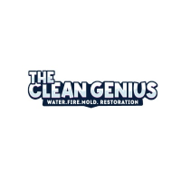 The Clean Genius
