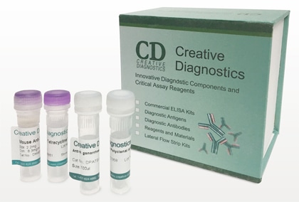 Rapid Test Kits at Creative Diagnostics