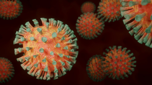 Nitroxoline for prevention and treatment of coronavirus disease