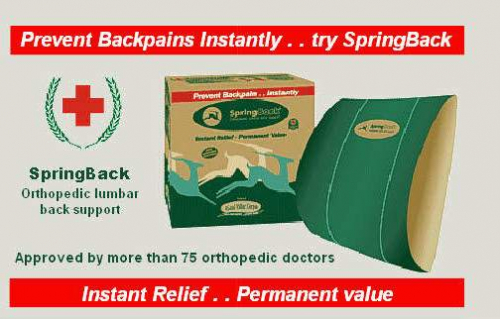 Orthopaedic Lumbar Back Support that can give you 