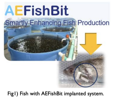 Stress and metabolic monitoring system to improve fish production