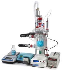 Fast detection of microorganisms using microcalorimetry