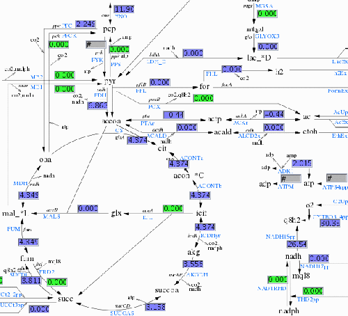 CellNetAnalyzer: A Software Package for Analyzing Structure and Function of Cellular Networks